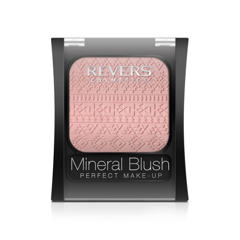 MINERAL BLUSH PERFECT MAKE-UP 2