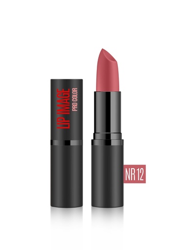 [lip08] Lip Stics LIP IMAGE Pro Color Satin Intensive Pigment # 12